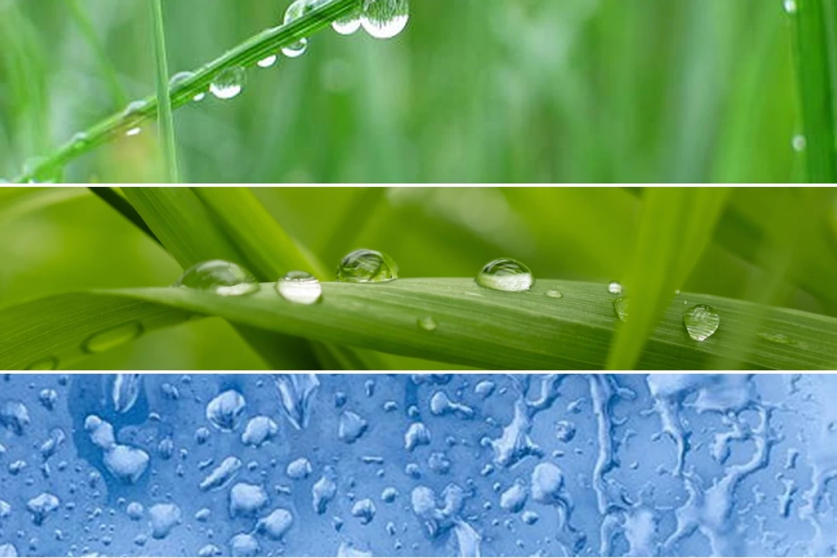 Understanding Dew Point in India and Heat Wave Dynamics
