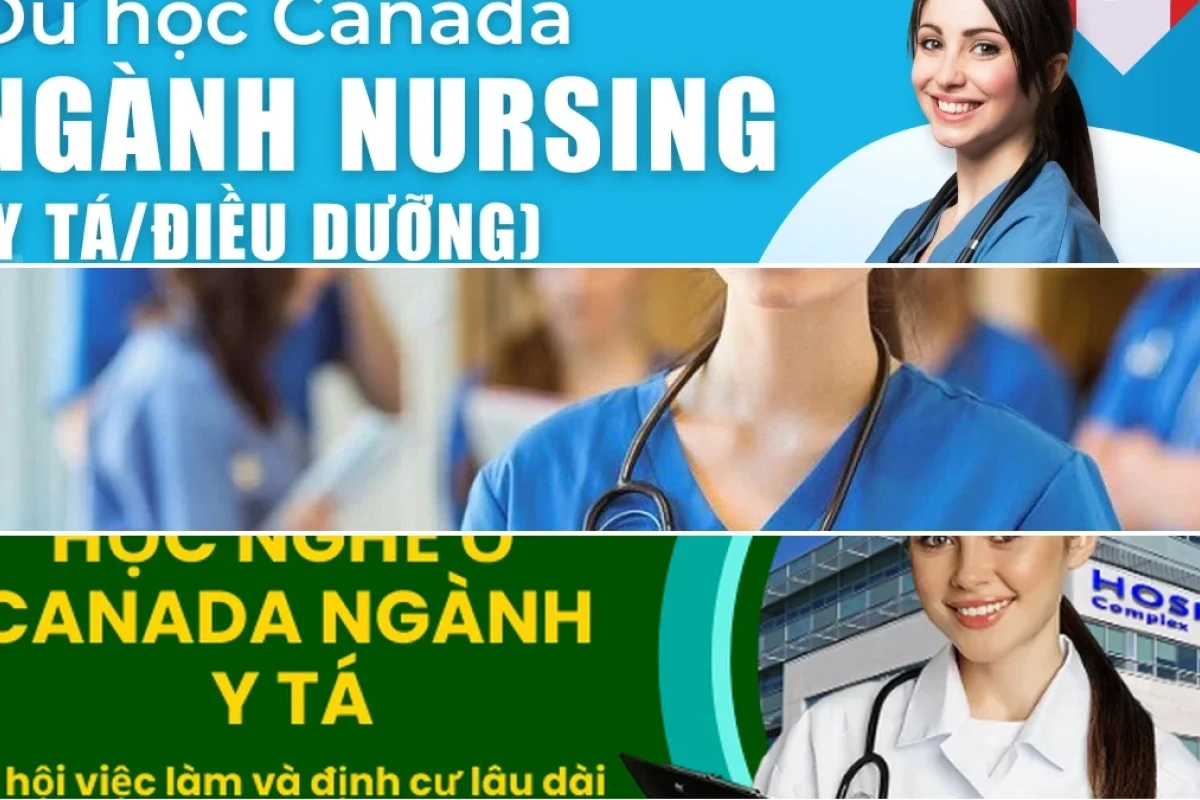 Lộ trình tư vấn du học Canada ngành y tá hiệu quả năm 2026