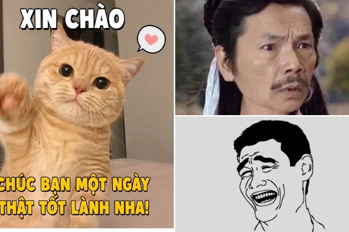 Meme Hài Hước Chế Phim Ảnh Mới Nhất Sự Thật Hay Lầm Tưởng?