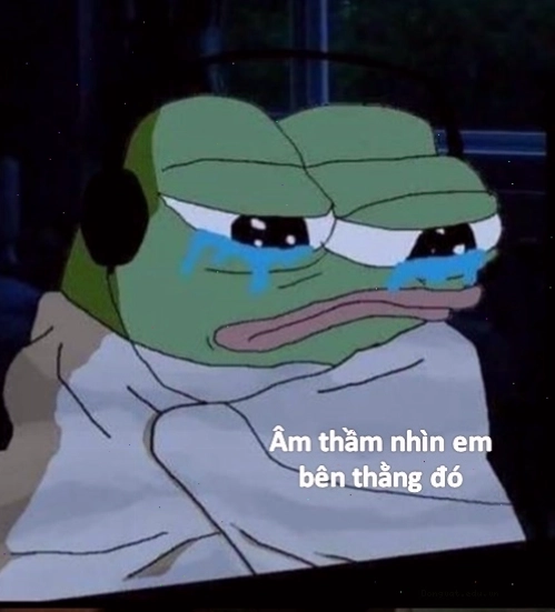 Ảnh khóc bất lực meme thể hiện nỗi buồn
