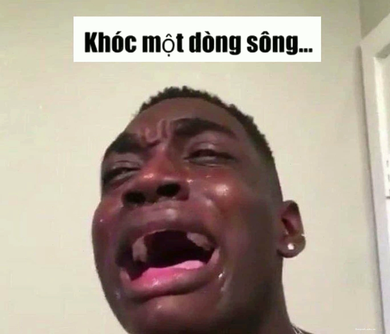  Ảnh meme anh da đen khóc hài hước
