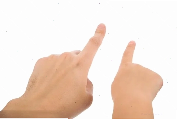 ảnh meme chỉ tay