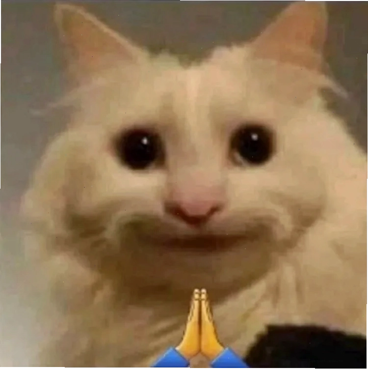 Ảnh meme chú chó với biểu cảm buồn thảm