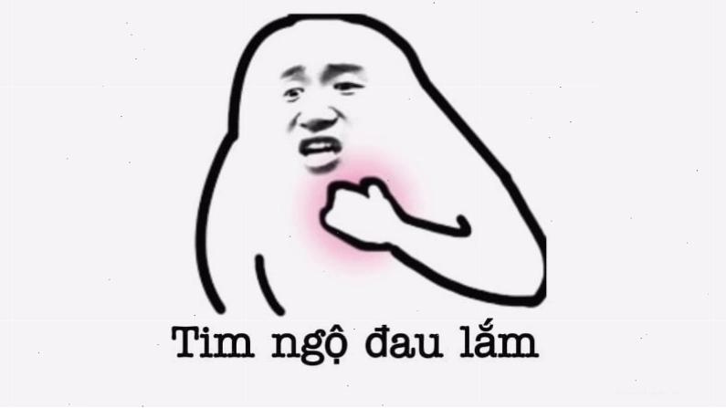 Ảnh meme hài hước về những chú chó biểu cảm khó đỡ