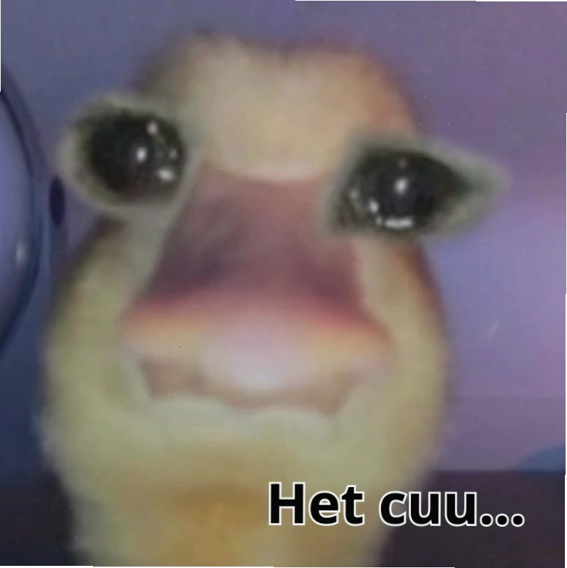 Ảnh meme không cứu đi