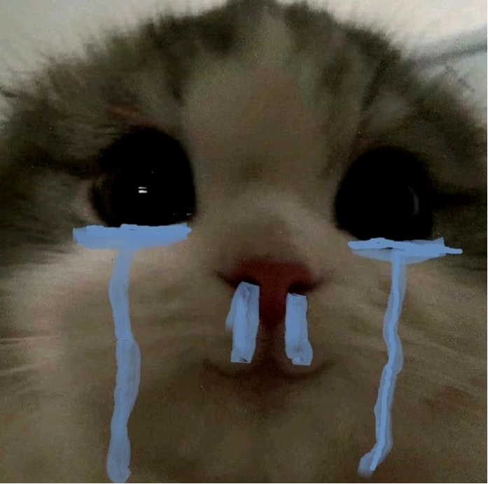 Ảnh meme mèo khóc biểu cảm sad