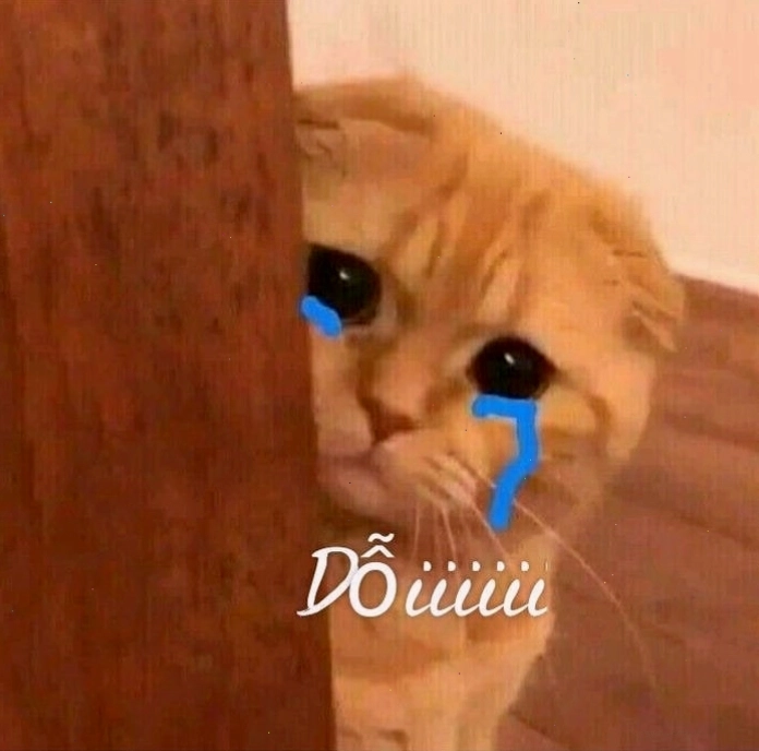 Ảnh meme mèo khóc buồn nhất