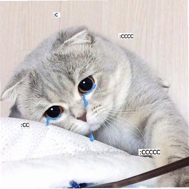 Ảnh meme mèo khóc lóc thảm thiết với đôi mắt rưng rưng