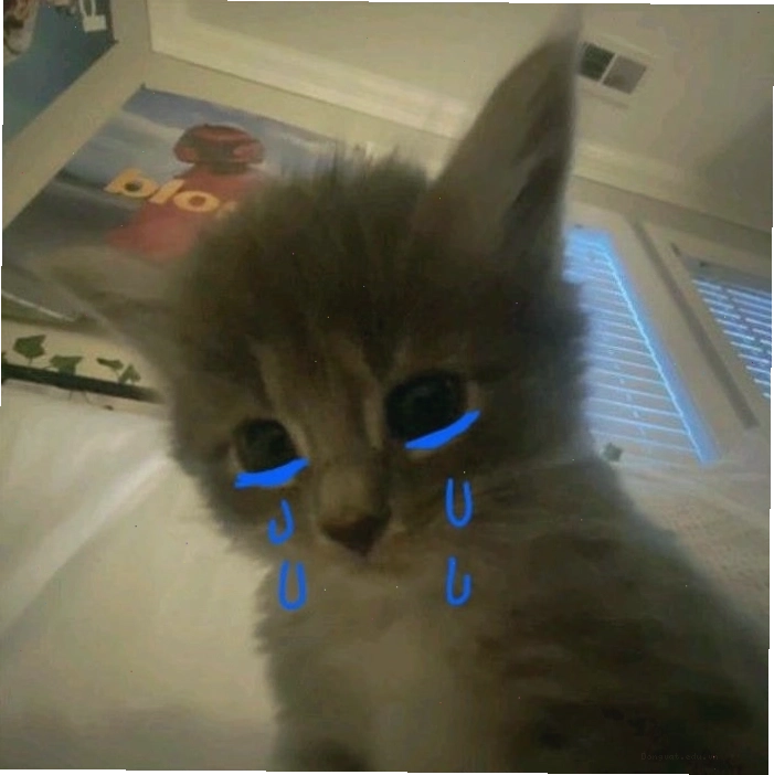 Ảnh meme mèo khóc siêu buồn