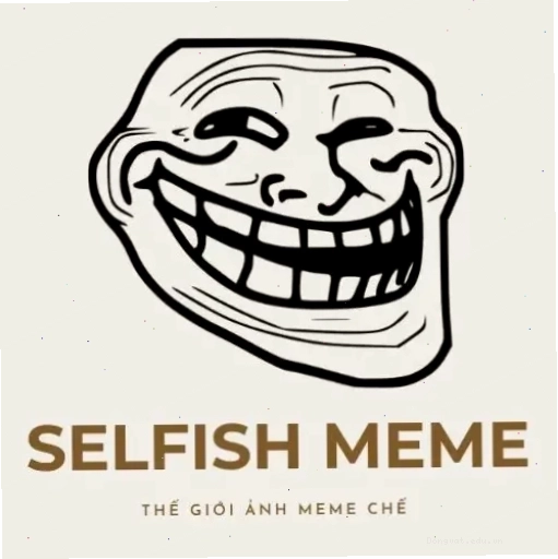 Ảnh meme mèo vô tri thể hiện sự "tỉnh bơ"