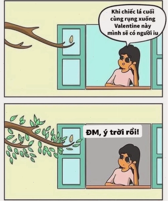 Ảnh ý trời meme hài hước
