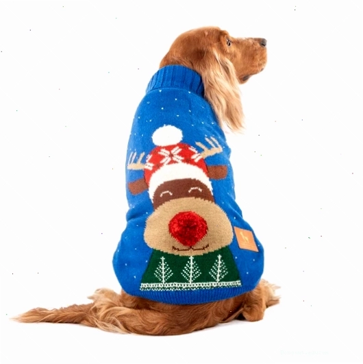 Áo len HUFT Reindeer Cheer màu xanh cho chó