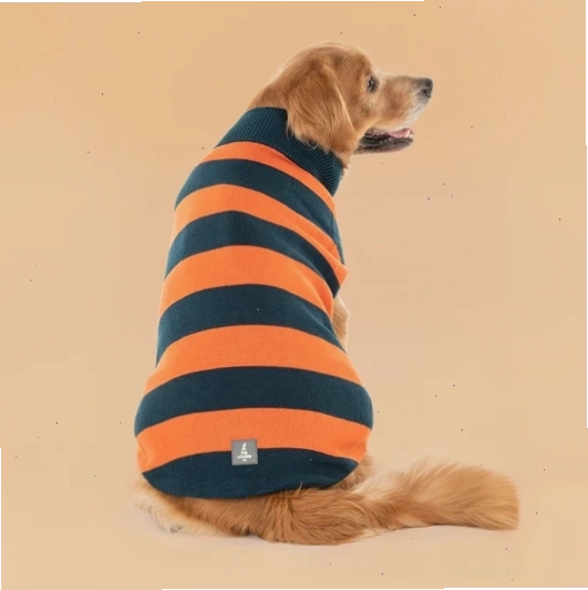 Áo len TLC Pumpkin Patch màu cam và xanh navy cho chó
