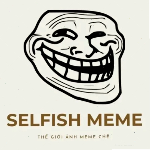 Avatar đôi vô tri sử dụng meme kinh điển