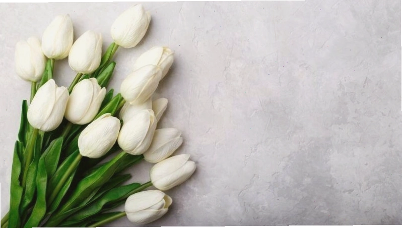 Avatar hoa tulip với gam màu pastel tạo cảm giác dễ chịu