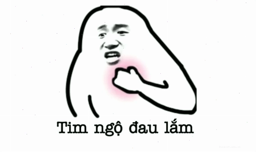 Avatar meme mèo bựa với biểu cảm khó đỡ