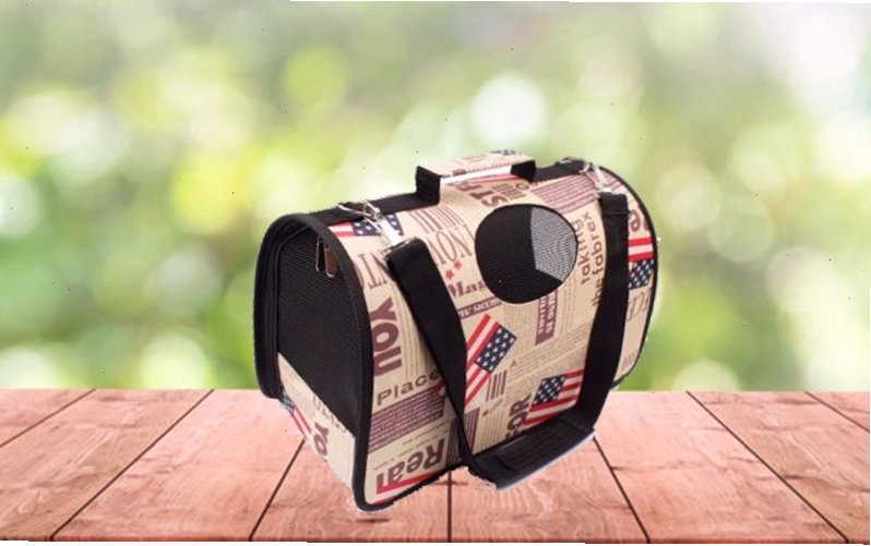 Balo Petsfit Comfort có nhiều lỗ thoáng khí