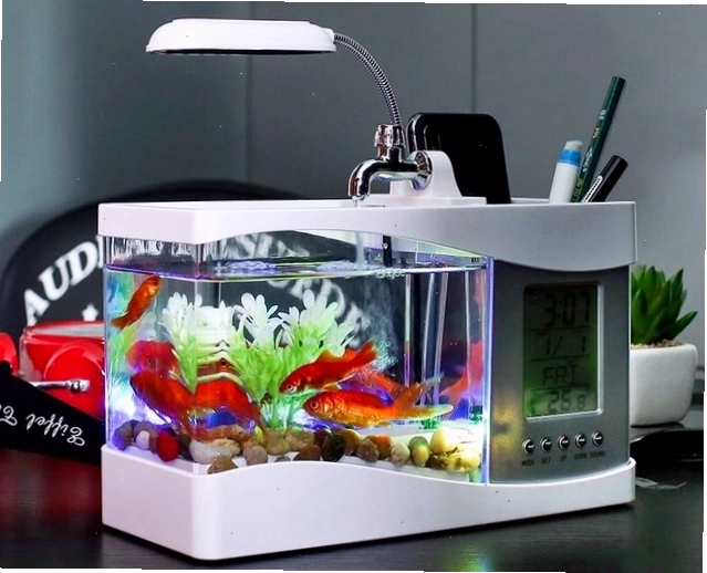 Bể cá 3 trong 1 hiện đại tích hợp nhiều chức năng