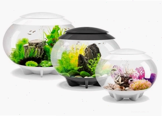 Bể cá 3 trong 1 mini hình tròn với hệ thống lọc và đèn tích hợp