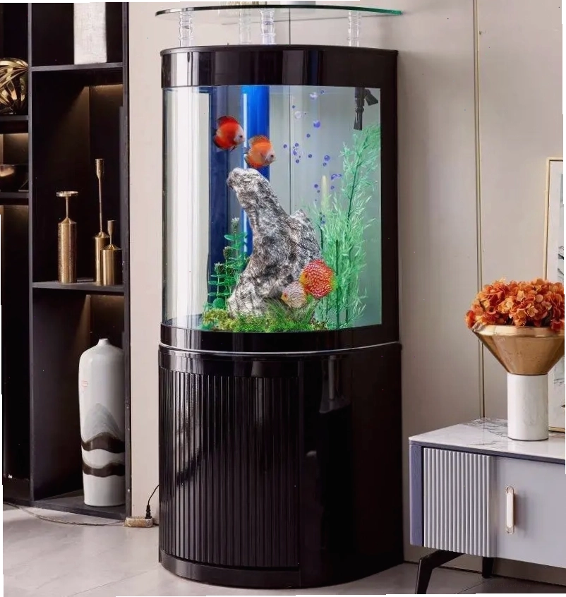 Bể cá bán nguyệt hiện đại nhập khẩu đẹp BC024