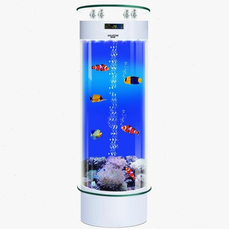 Bể cá cảnh trụ tròn nhập khẩu BC016
