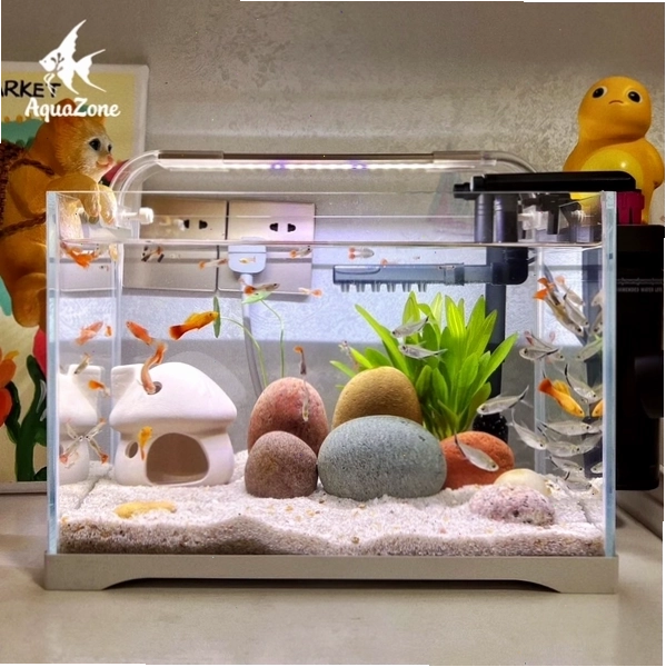 Bể cá thủy sinh mini 30cm nhỏ gọn đặt trên bàn làm việc