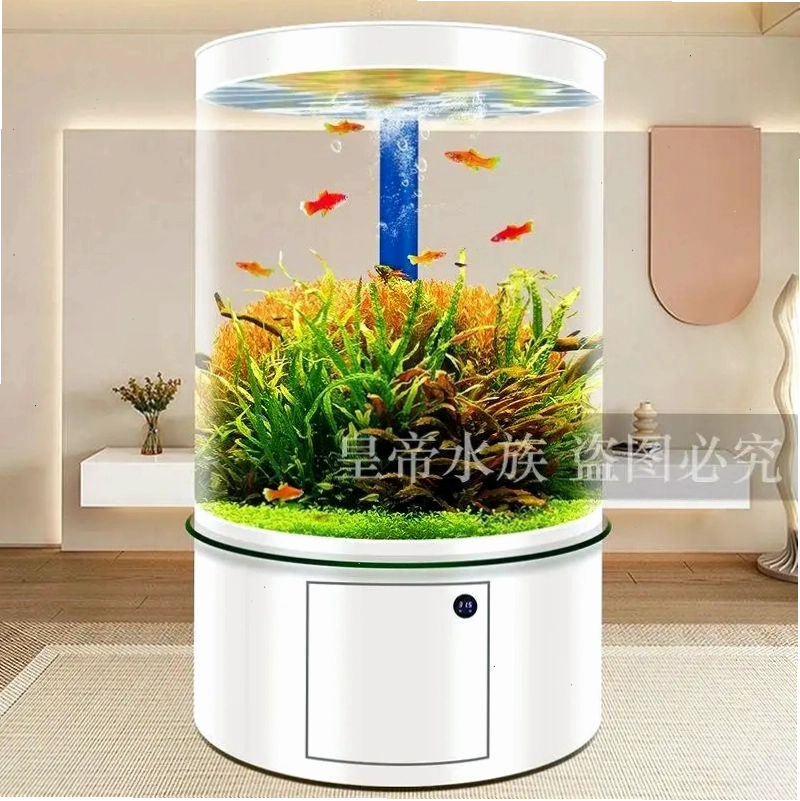 Bể cá trụ tròn nhập khẩu, bể cá thủy cung kính cong tròn BC023