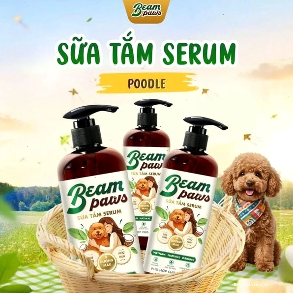 Beam Paws Sữa tắm Serum Dành Cho Poodle, Dịu Nhẹ, Chai 470ml