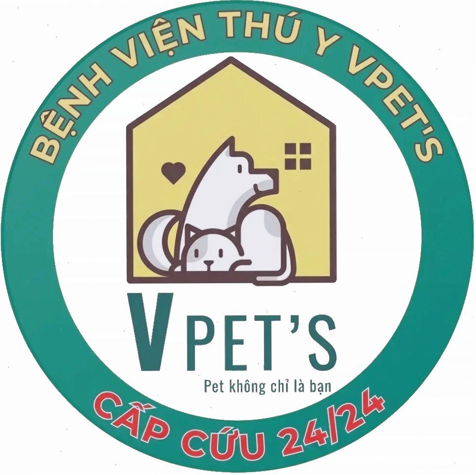 Bệnh Viện Thú Y Vpet’s cung cấp dịch vụ triệt sản an toàn