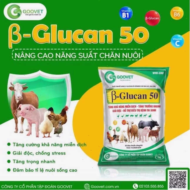 Beta Glucan 50 tăng cường sức đề kháng cho vật nuôi