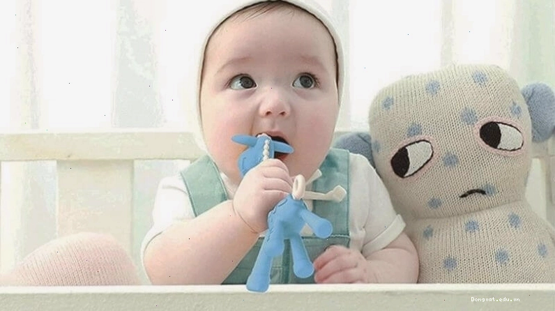 Bộ sưu tập các loại gặm nướu cho bé đa dạng mẫu mã