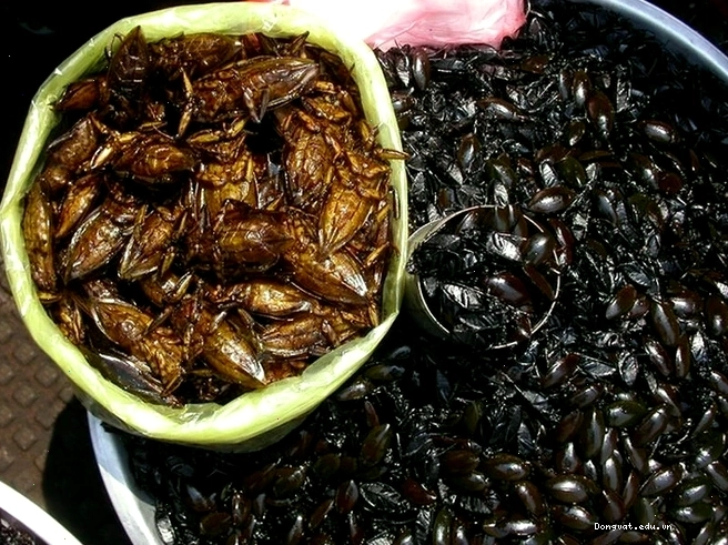 Cà niễng được chế biến thành món ăn hấp dẫn
