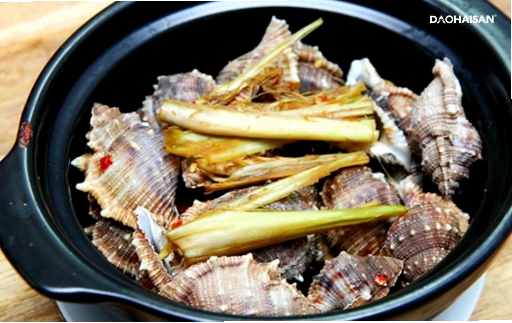 Các loài ốc biển làm món ăn ngon