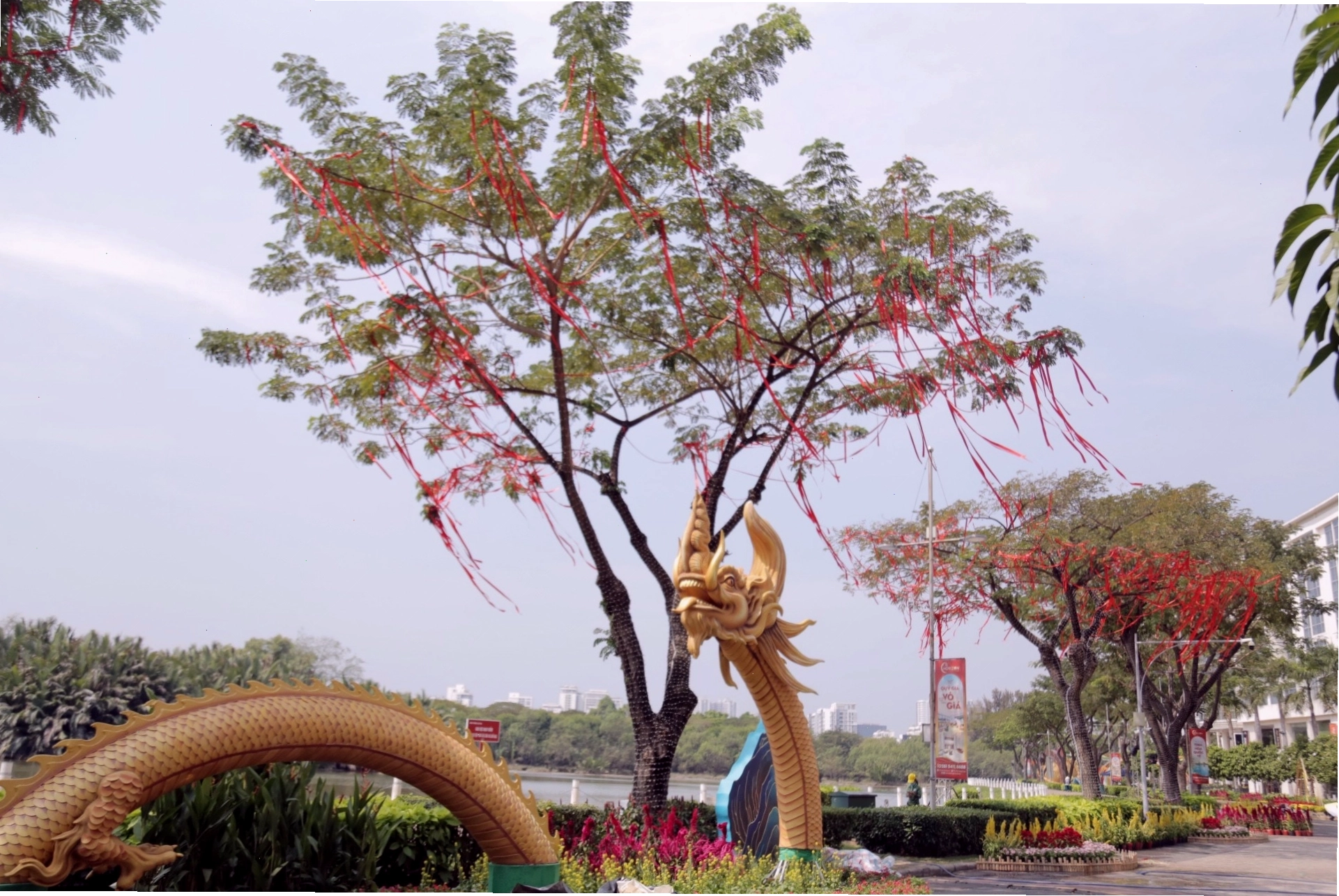 Các loại thức ăn đa dạng cho chim hỏa tiễn