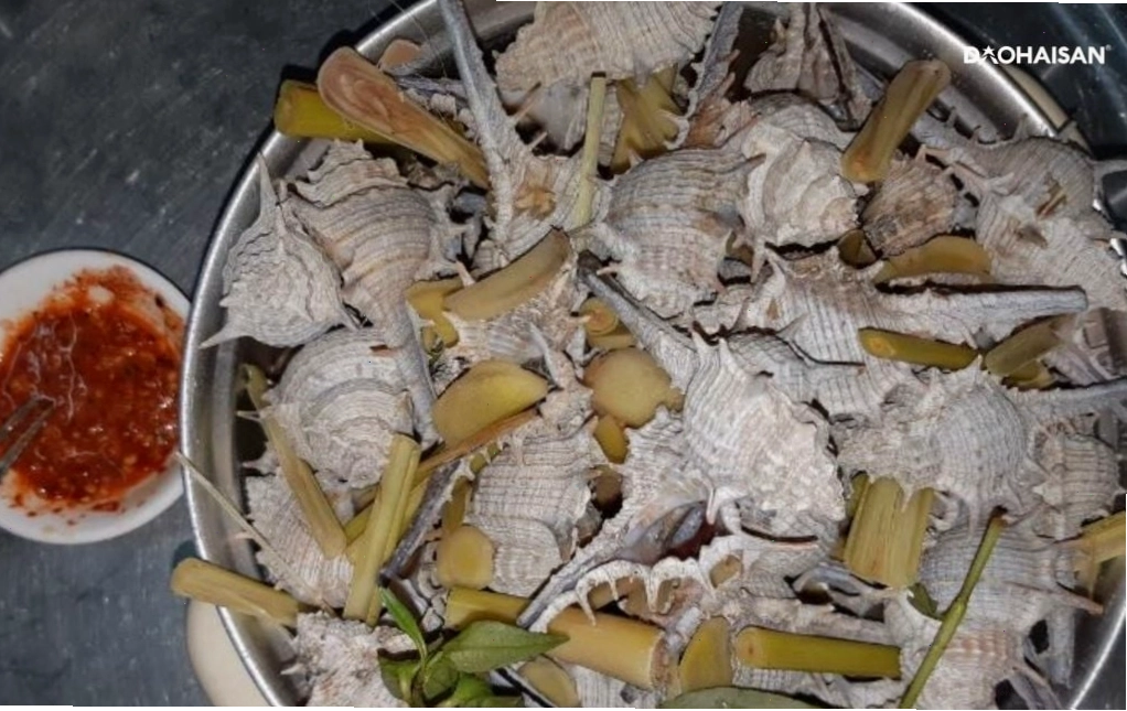 Các món ăn chế biến từ ốc gai