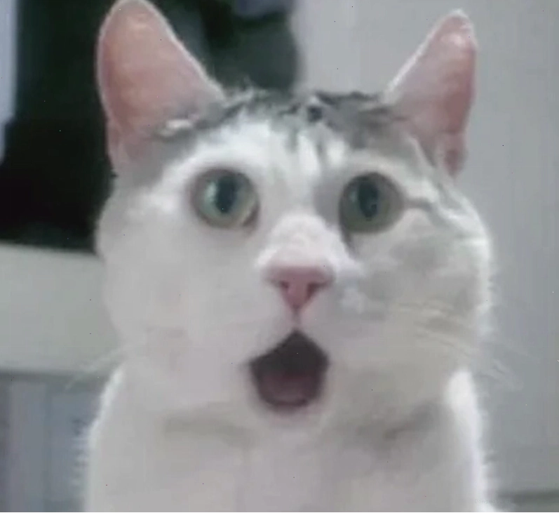 Các tình huống hài hước ứng dụng meme ngạc nhiên