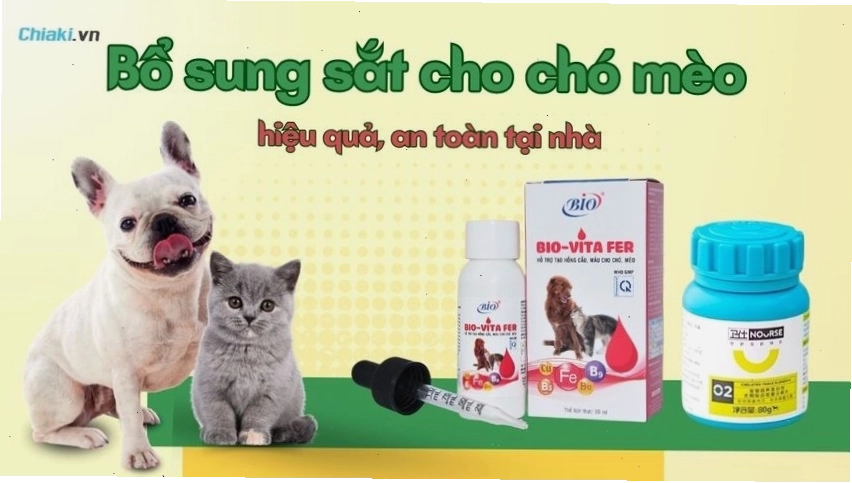 Cách bổ sung dinh dưỡng cho chó mèo hiệu quả, an toàn tại nhà