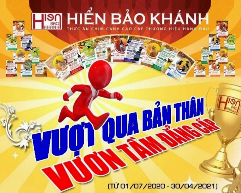 Cám chim Hiển Bảo Khánh HBK giúp chim có bộ lông đẹp
