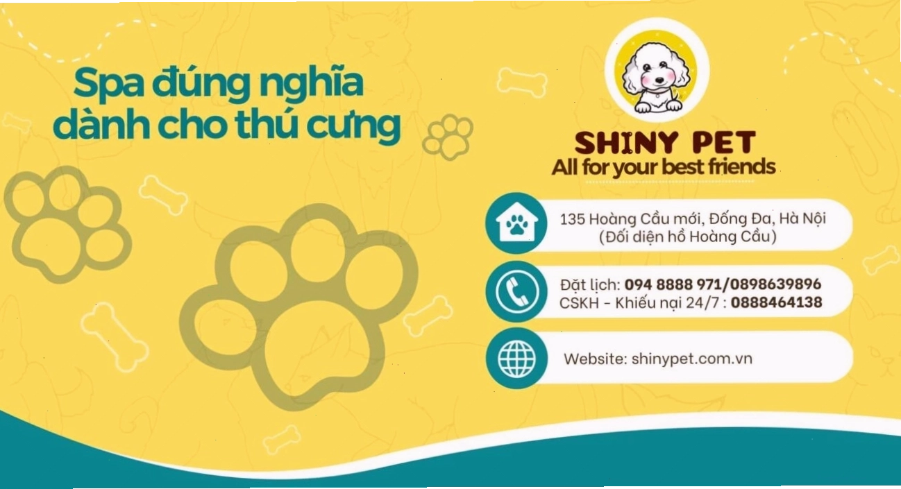 Cận cảnh một chú chó được chăm sóc tại Shiny Pet Spa Hà Nội