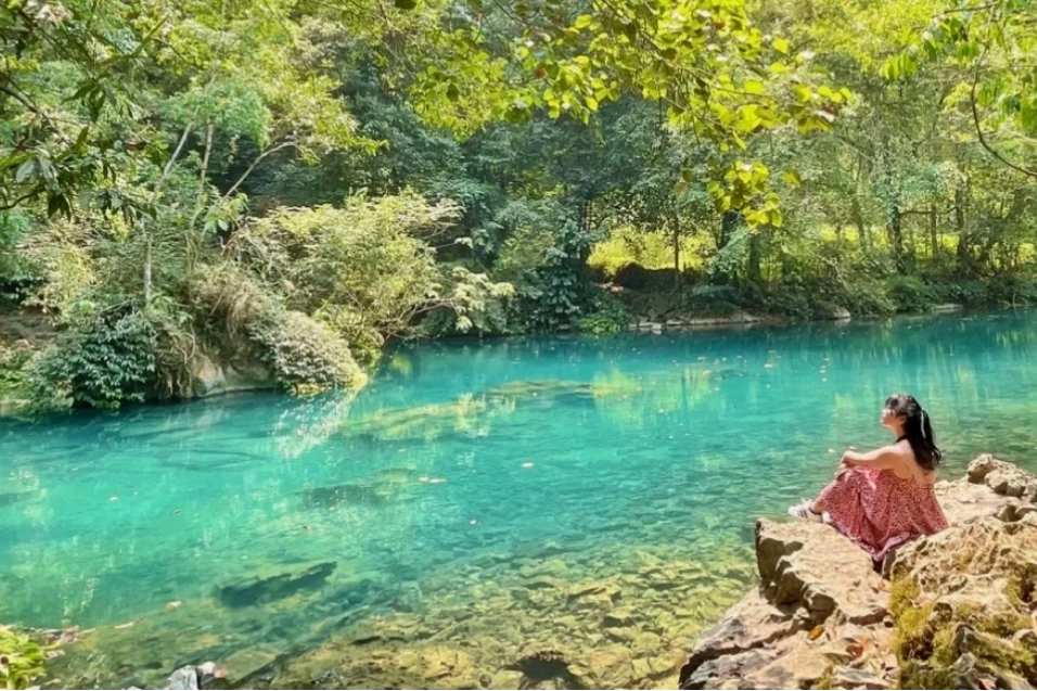 Cảnh quan dòng suối trong veo