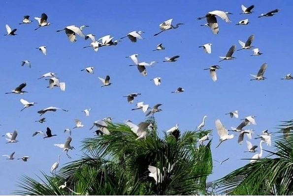 Cảnh tượng nhiều người đang nói chuyện, trao đổi thông tin