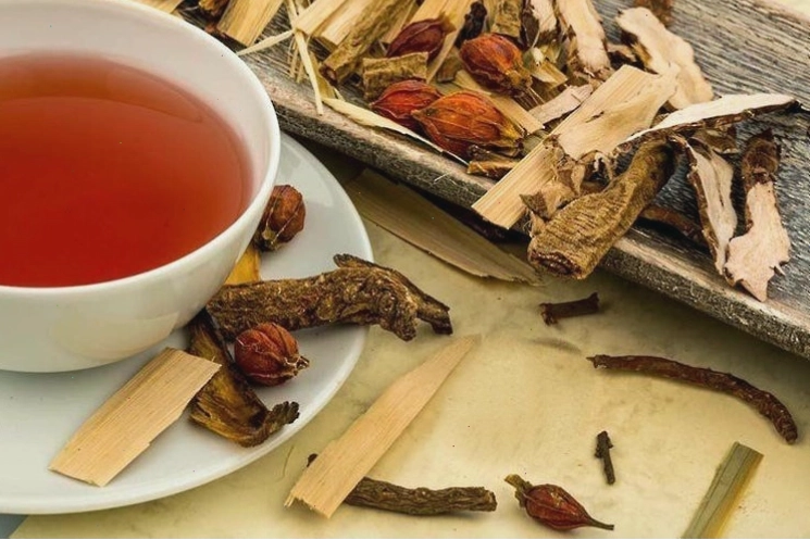 Cây phèn đen sau khi sắc thuốc có thể dùng trị sâu răng