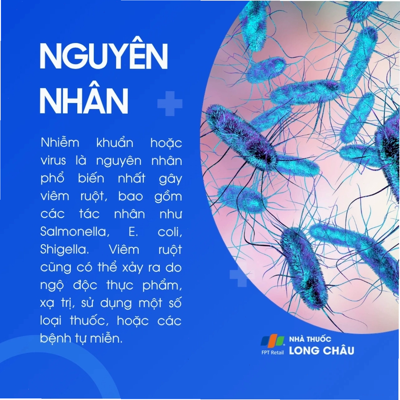Chế độ dinh dưỡng cho người viêm ruột