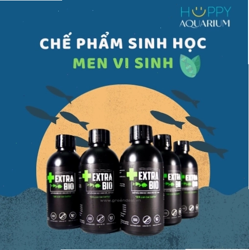 Chế phẩm sinh học hỗ trợ cá thủy sinh