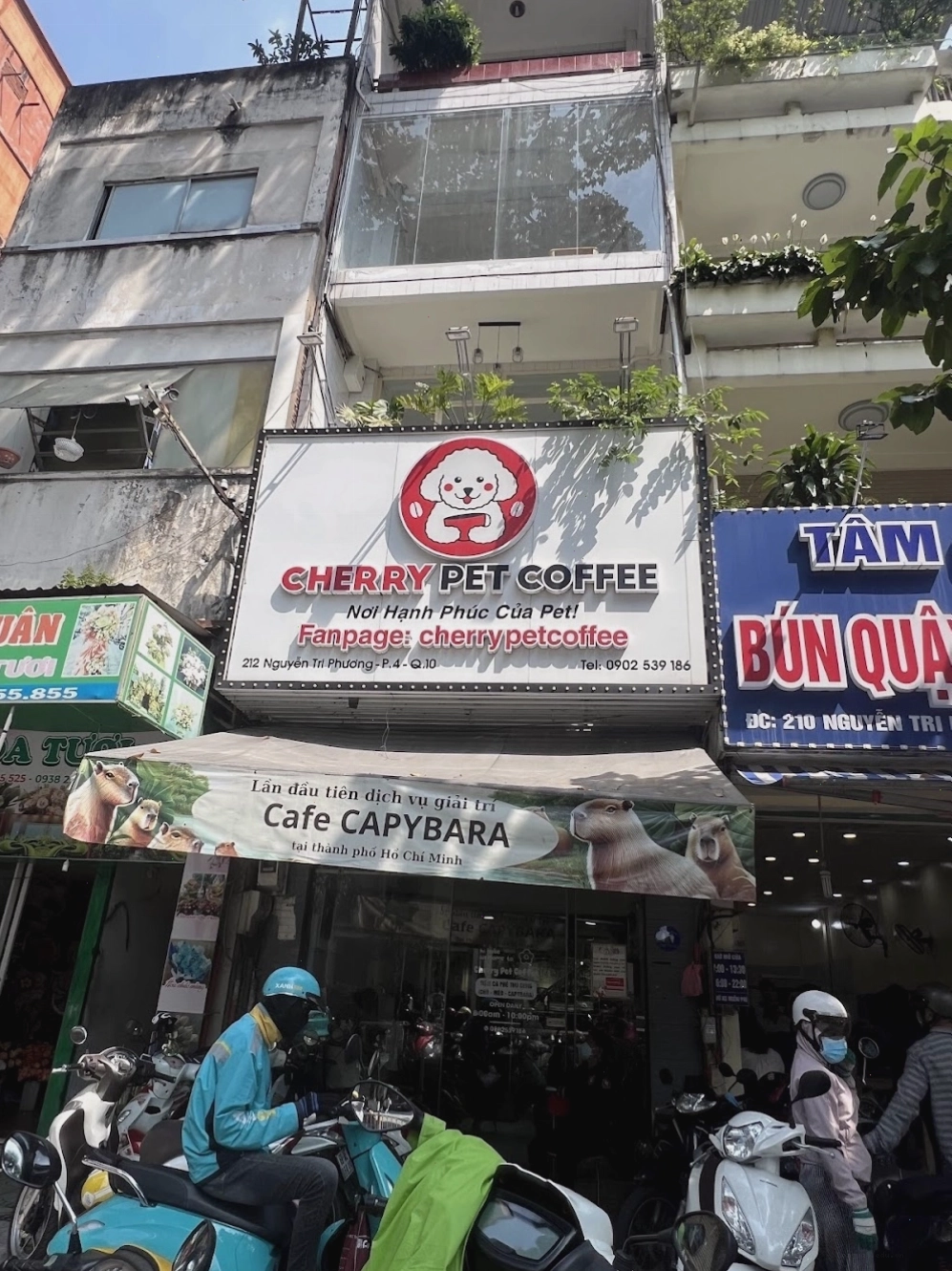 Cherry Pet Coffee - Quán cà phê thú cưng