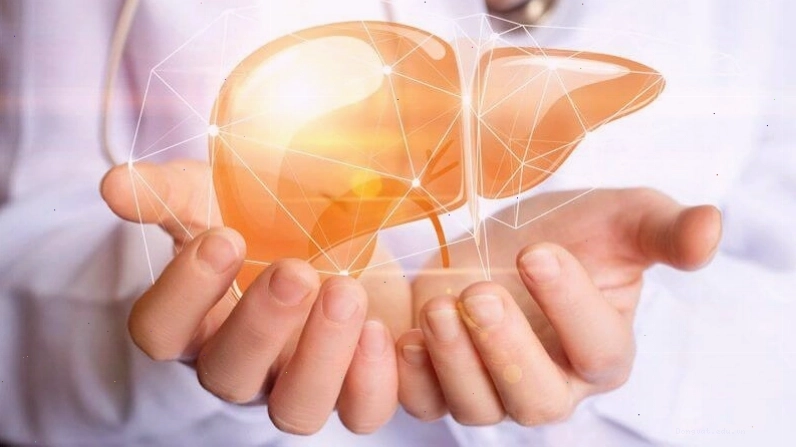Chiết xuất cây phèn đen có tác dụng bảo vệ gan và giảm mỡ máu hiệu quả