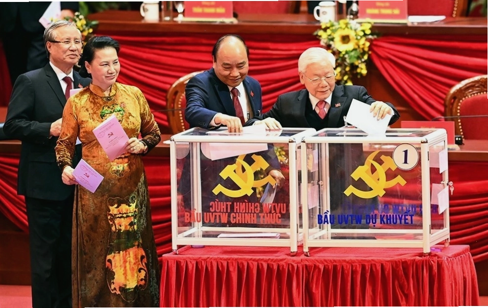 Chim bìm bịp trưởng thành với bộ lông đen tuyền đặc trưng