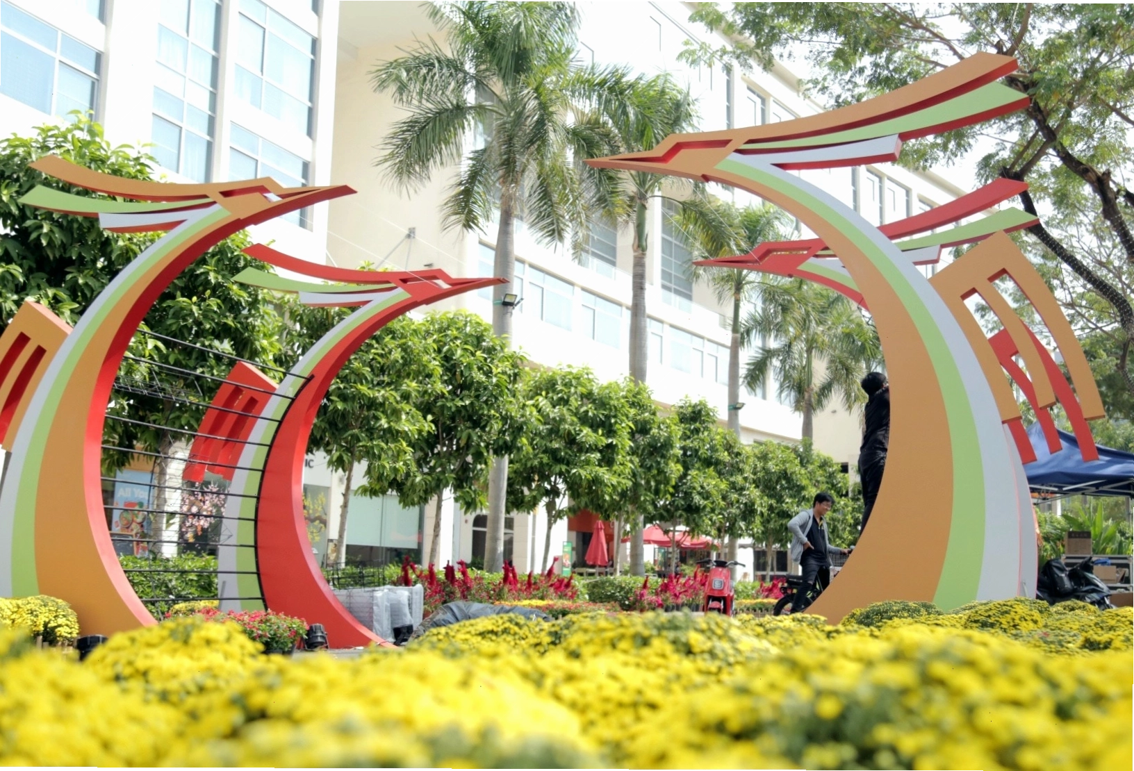 Chim hỏa tiễn đang tắm trong khay nước