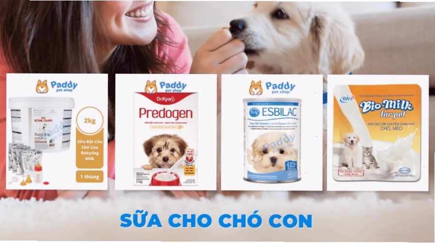 Chó con đang uống sữa