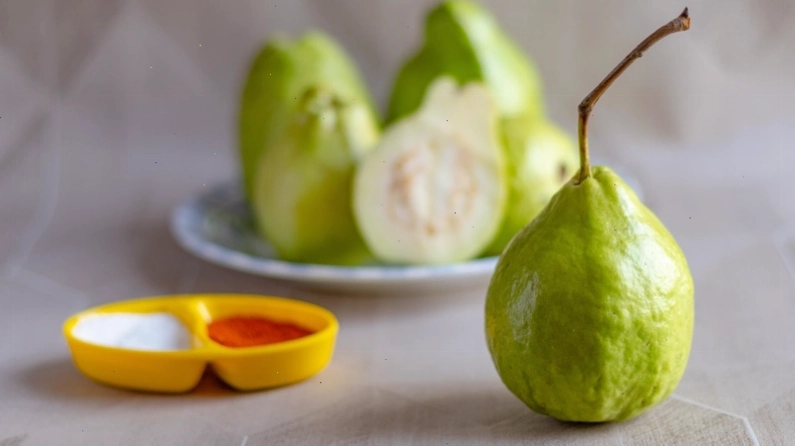 Chó đang ăn một miếng trái cây nhỏ, thể hiện sự thích thú